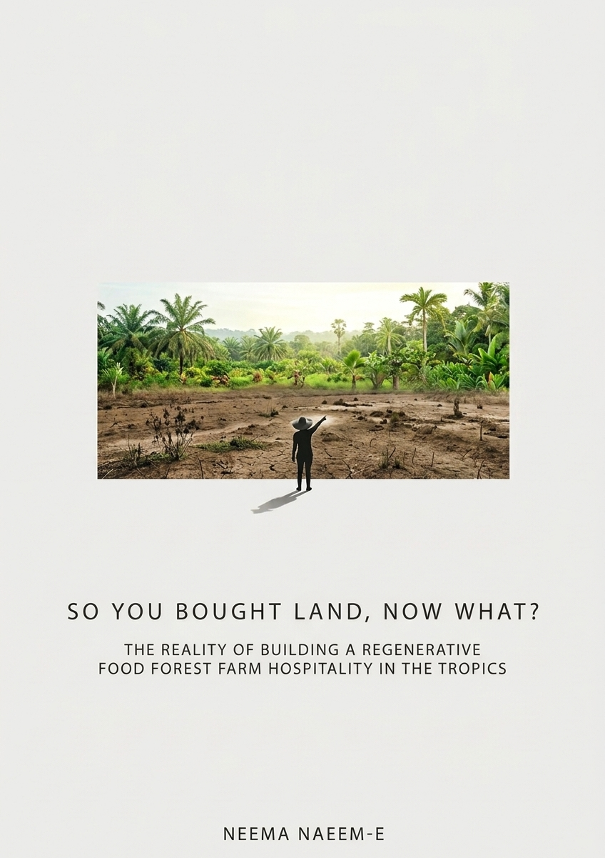 So You Bought Land, Now What?